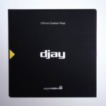 djay PRO AI CONTROL VINYL 訊號片 (單張)