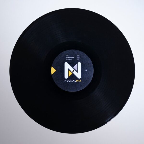 djay PRO AI CONTROL VINYL 訊號片 (單張)：圖片 3